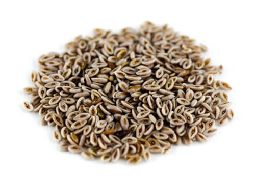 Flohsamen indisch gelb ganz 100g